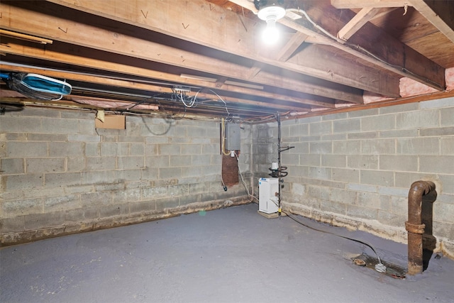 basement with electric panel