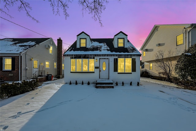 view of cape cod house