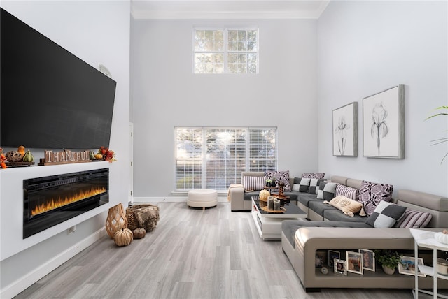 living room featuring crown molding, light hardwood / wood-style flooring, and a high ceiling