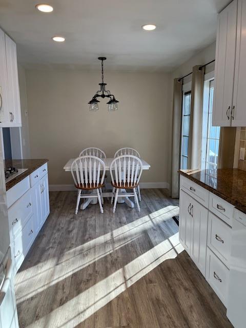 dining room featuring dark hardwood / wood-style flooring