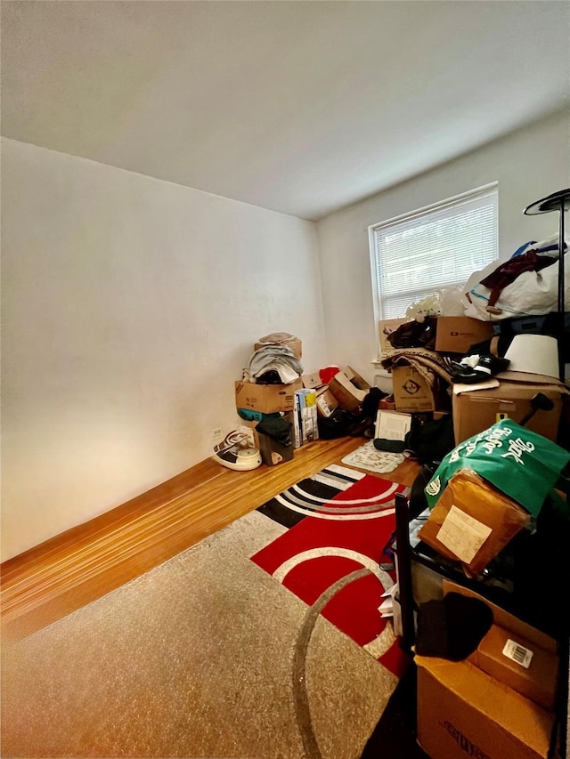 rec room with carpet