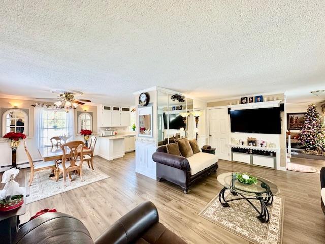 living room featuring ceiling fan, light hardwood / wood-style flooring, and a textured ceiling