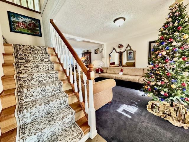 living room featuring hardwood / wood-style floors and a textured ceiling