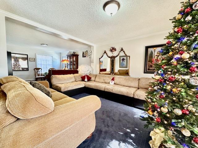 living room featuring a textured ceiling