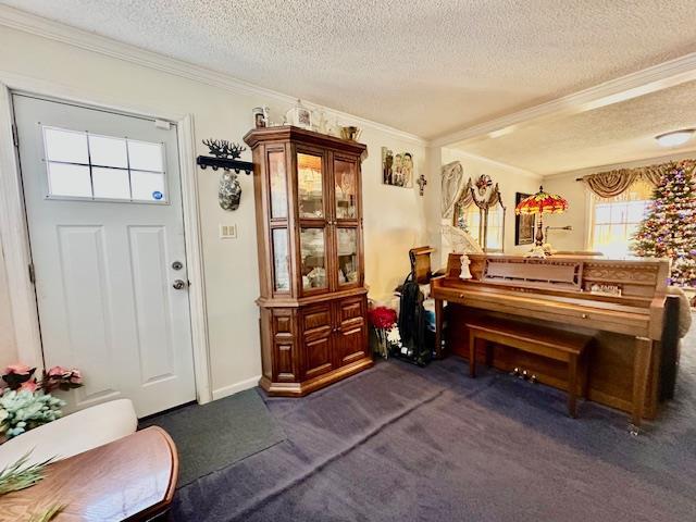 misc room featuring crown molding, a textured ceiling, and dark colored carpet