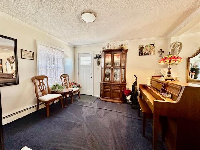 living area featuring crown molding, a baseboard radiator, and a textured ceiling