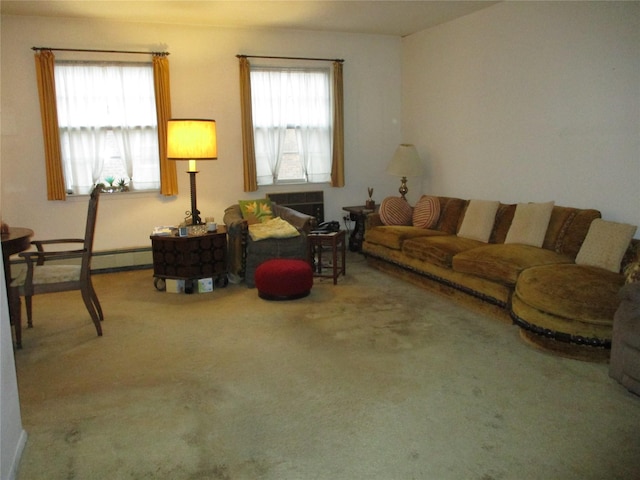 carpeted living room with plenty of natural light