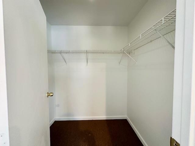 view of walk in closet