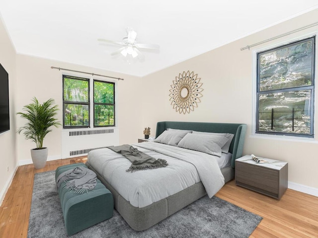 bedroom featuring ceiling fan, radiator, multiple windows, and light wood-type flooring