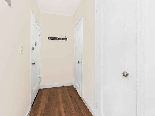 hall featuring dark hardwood / wood-style floors