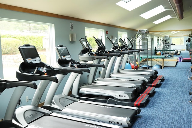 gym with carpet flooring and vaulted ceiling