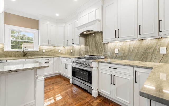 kitchen with sink, hardwood / wood-style floors, light stone counters, high end stove, and white cabinets