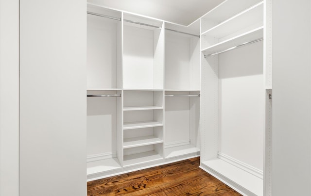 spacious closet featuring dark hardwood / wood-style flooring