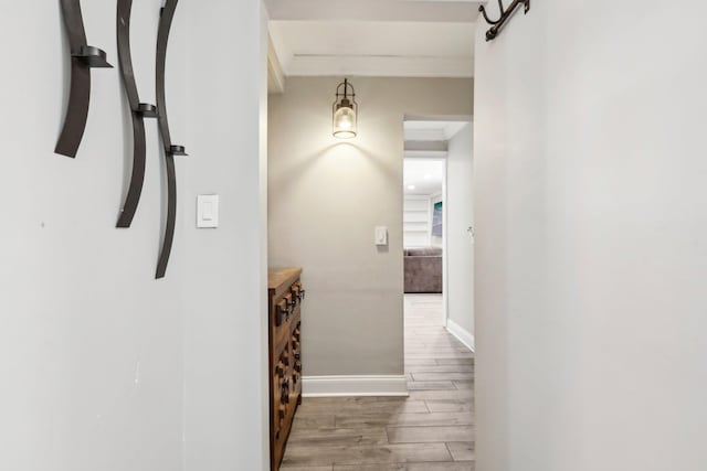 corridor with crown molding and light hardwood / wood-style flooring