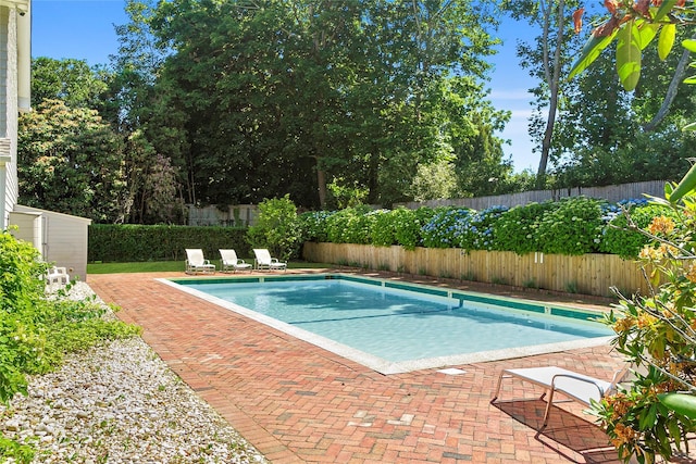 view of swimming pool