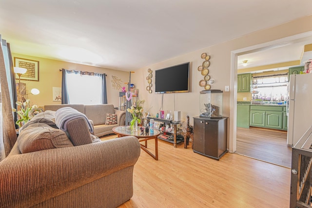 living room with a healthy amount of sunlight and light hardwood / wood-style flooring