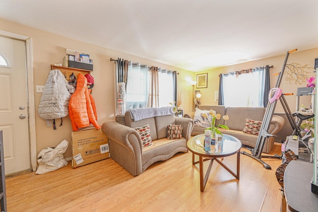 living room featuring hardwood / wood-style floors