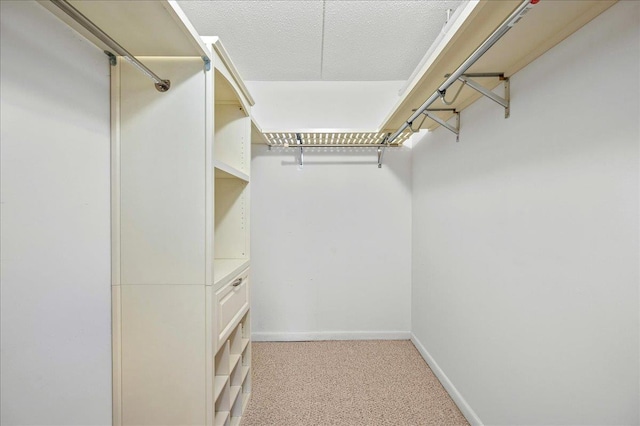 walk in closet with light colored carpet