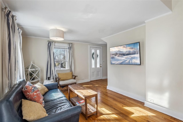 living room with crown molding and wood-type flooring