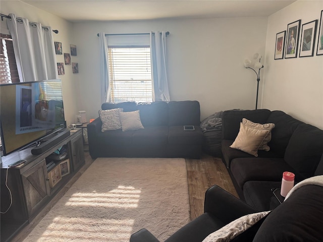 living room featuring hardwood / wood-style floors