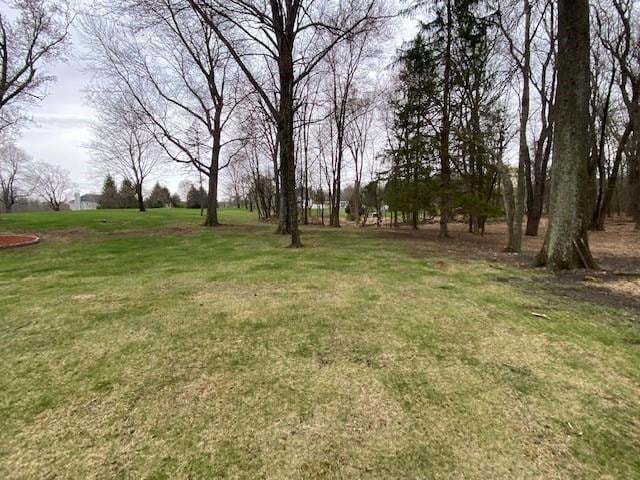 176 Gardnerville Rd, New Hampton, NY 10958 - view of yard