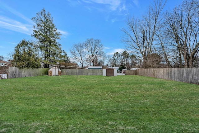 view of yard featuring a storage shed