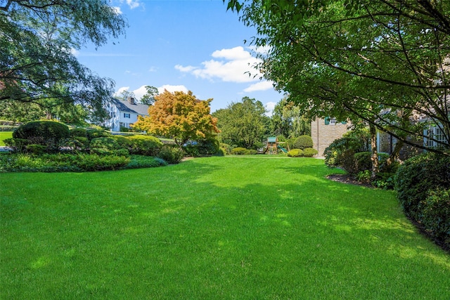 view of yard featuring a playground