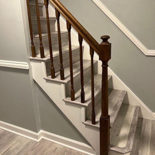 staircase with wood-type flooring