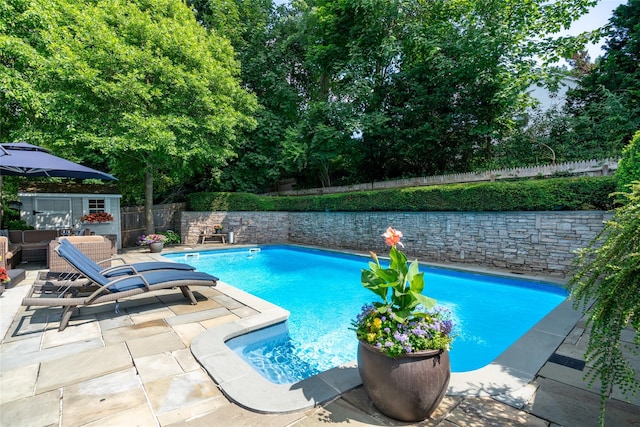 view of pool with a patio and an outbuilding