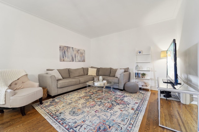 living room featuring hardwood / wood-style floors