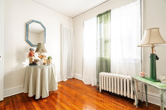 sitting room with wood-type flooring and radiator