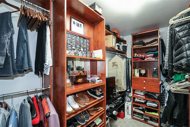 view of spacious closet