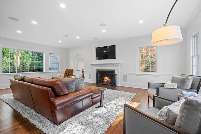 living room featuring dark wood-type flooring and plenty of natural light