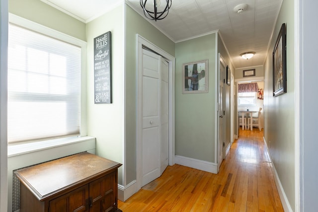 hall with crown molding and light hardwood / wood-style floors