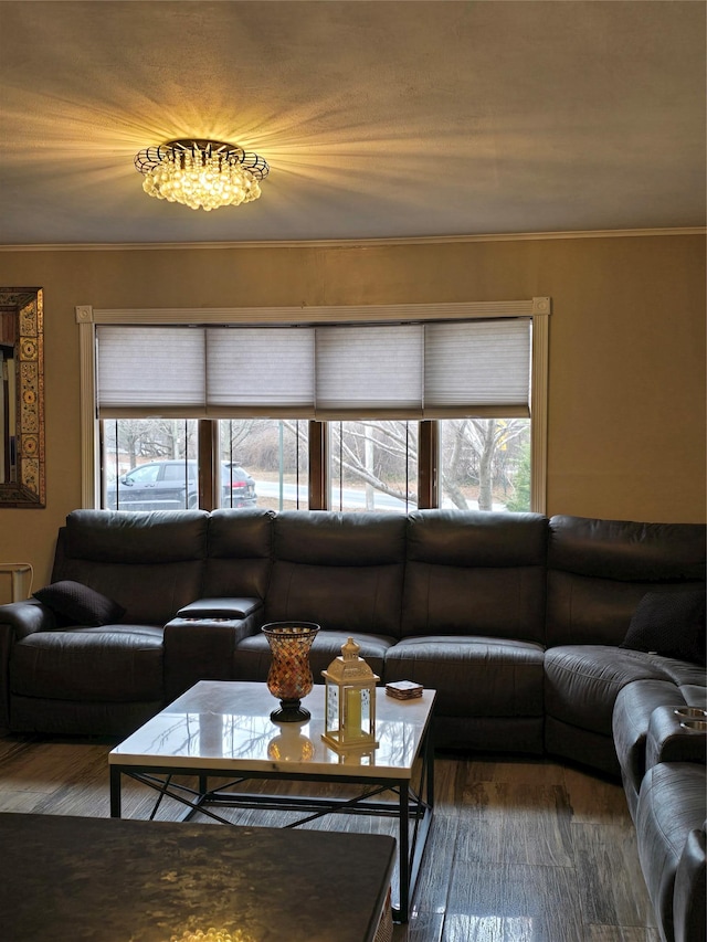 living room featuring crown molding and dark wood-type flooring