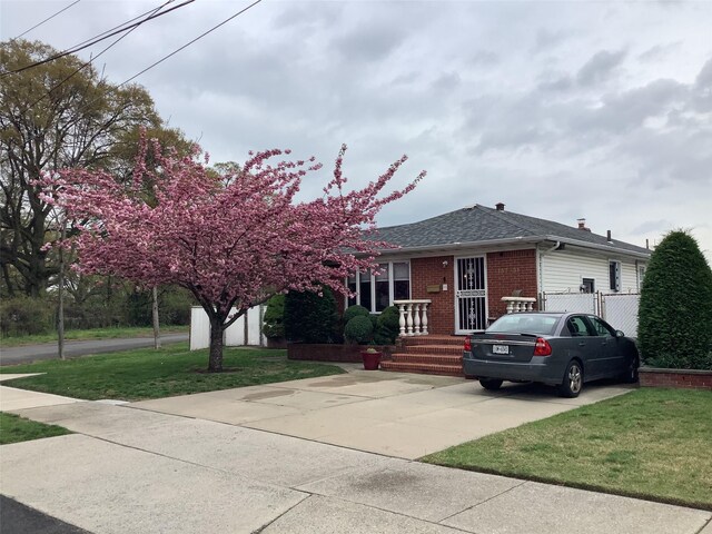 15731 80th St, Howard Beach, NY 11414 - view of front of property with a front lawn, fence, a shingled roof, and brick siding