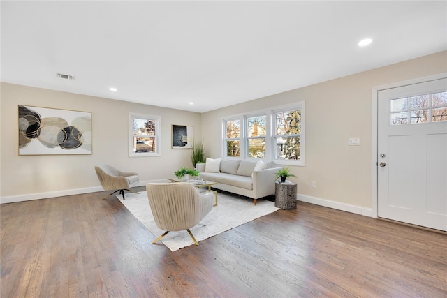 living room with wood-type flooring