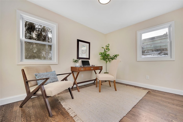 office area featuring hardwood / wood-style floors