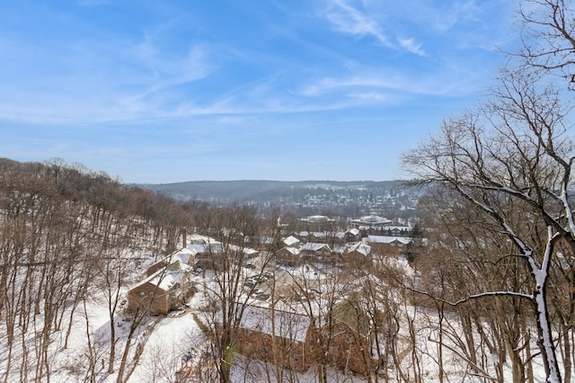 view of mountain feature