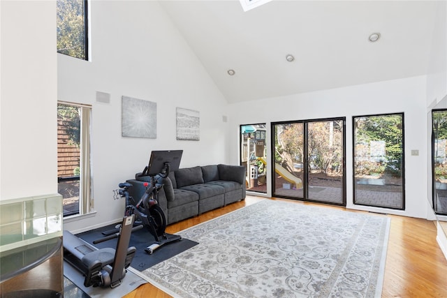 living room featuring a skylight, high vaulted ceiling, a healthy amount of sunlight, and light wood-type flooring