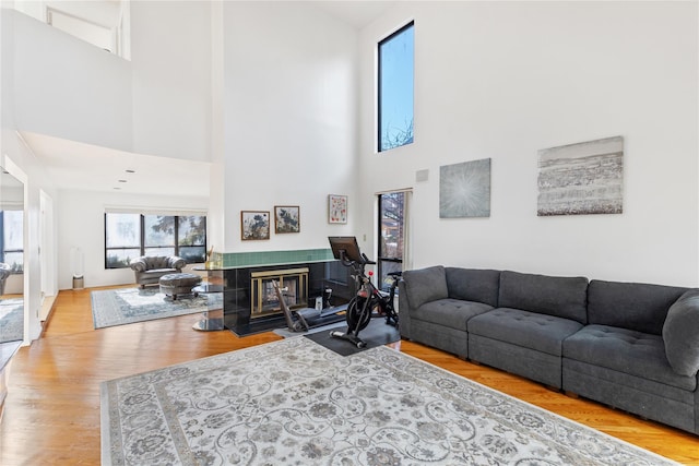 living room with a high ceiling and hardwood / wood-style flooring