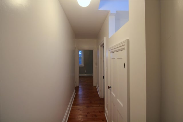 corridor featuring dark hardwood / wood-style flooring