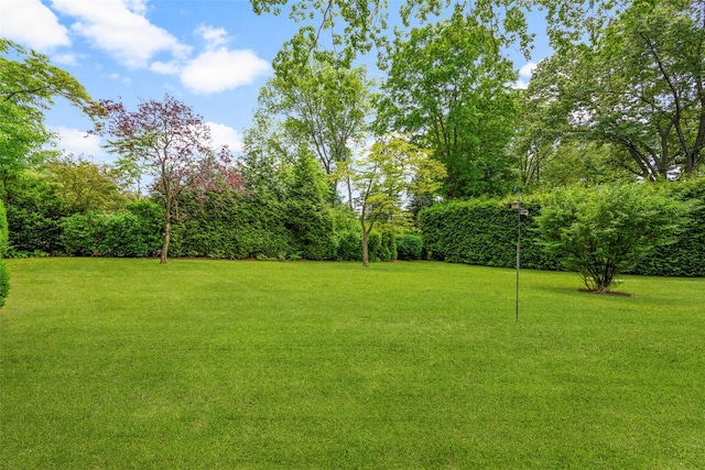 18 Kent Rd, Scarsdale, NY 10583 - view of grassy yard