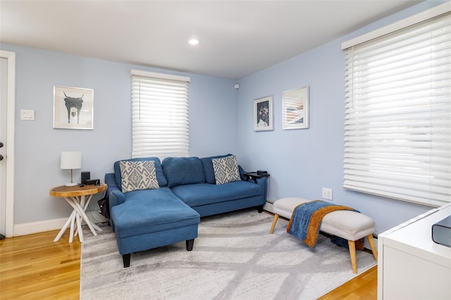 living room with light wood-type flooring