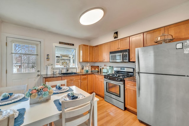 kitchen with light wood finished floors, crown molding, appliances with stainless steel finishes, and a sink