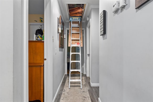 corridor with wood-type flooring and ornamental molding