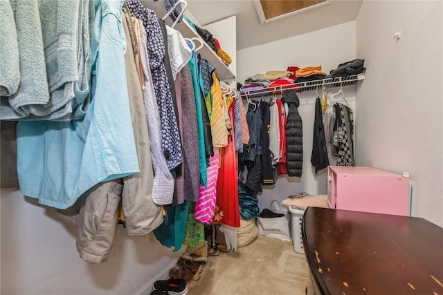 spacious closet with carpet flooring