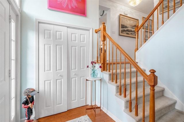 staircase featuring hardwood / wood-style floors