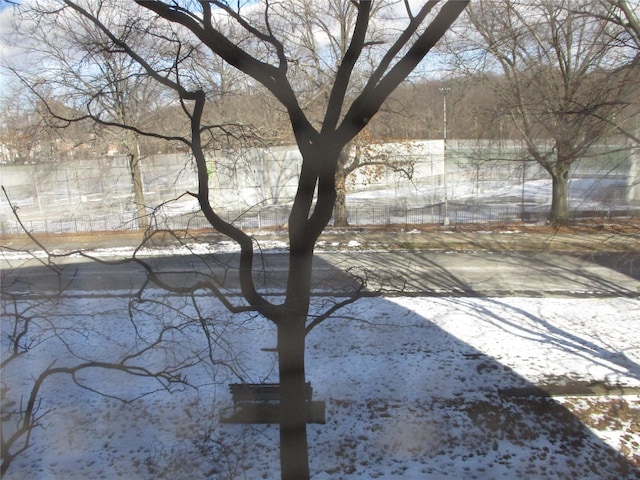 view of yard layered in snow