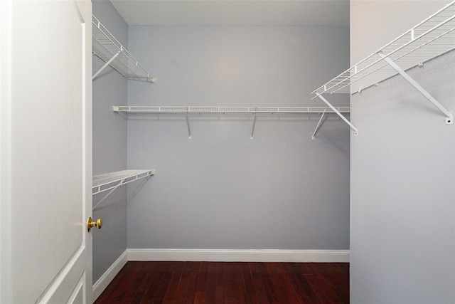 walk in closet with wood-type flooring